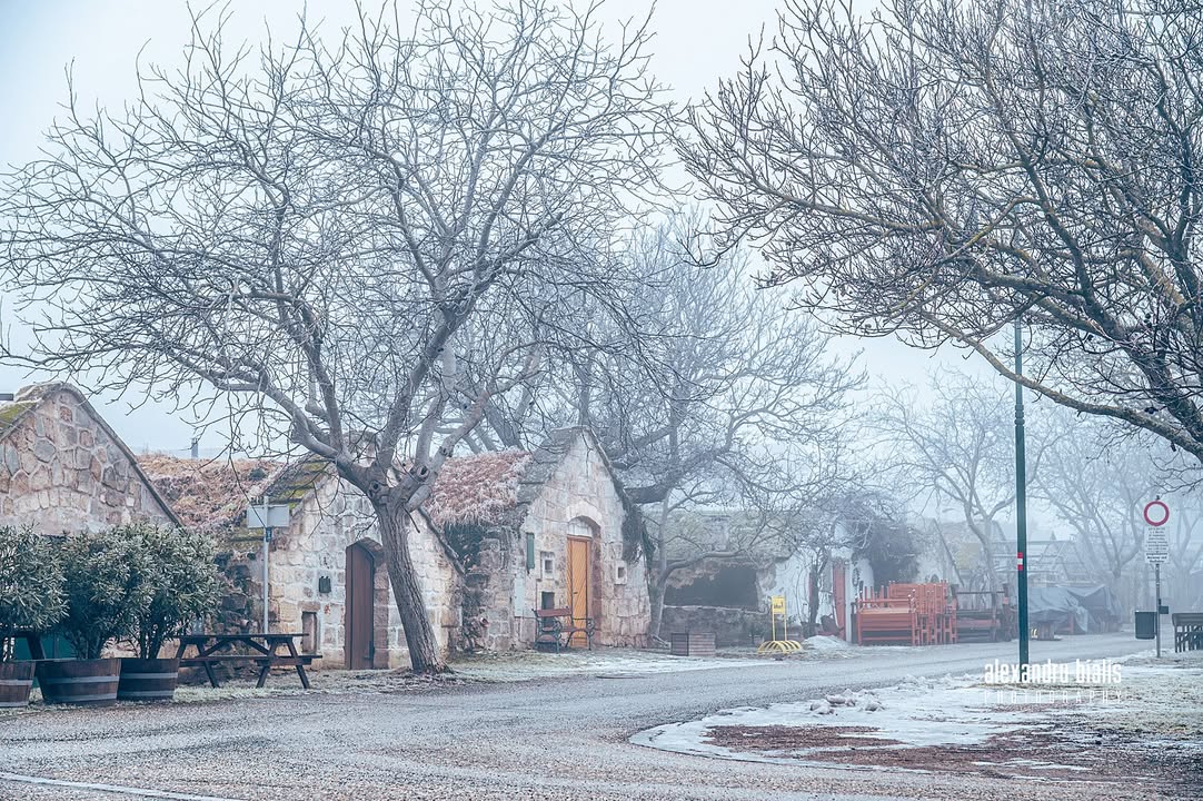 Alexandru Bialis Photography